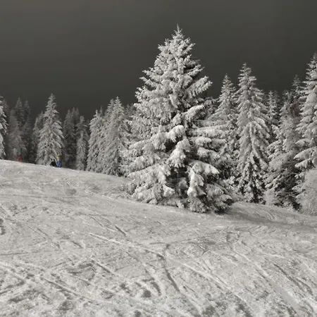 Aparthotel Ski Bytca